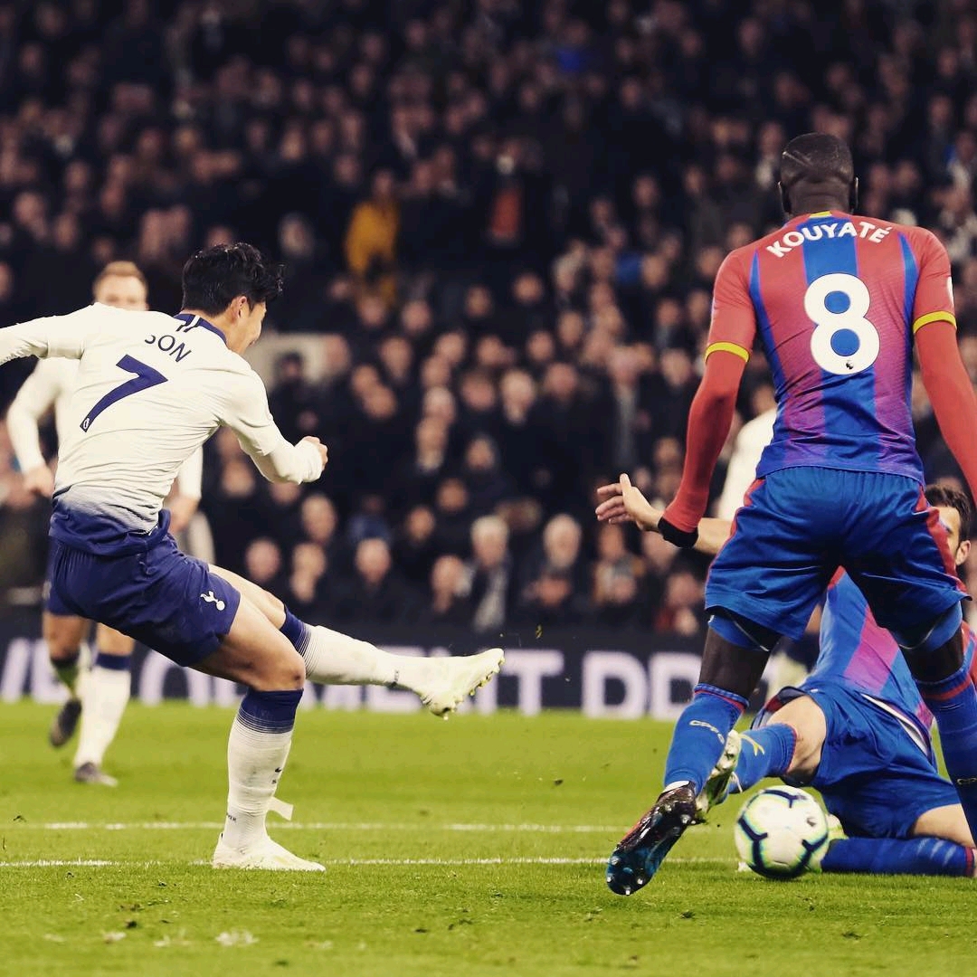 成为东北振 成为东北振