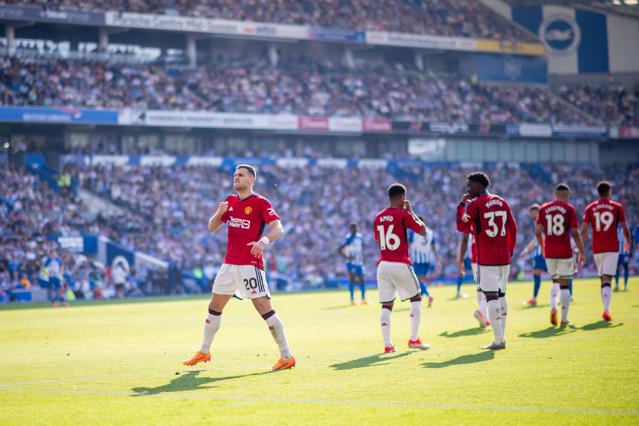 安德列娃的 安德列娃的