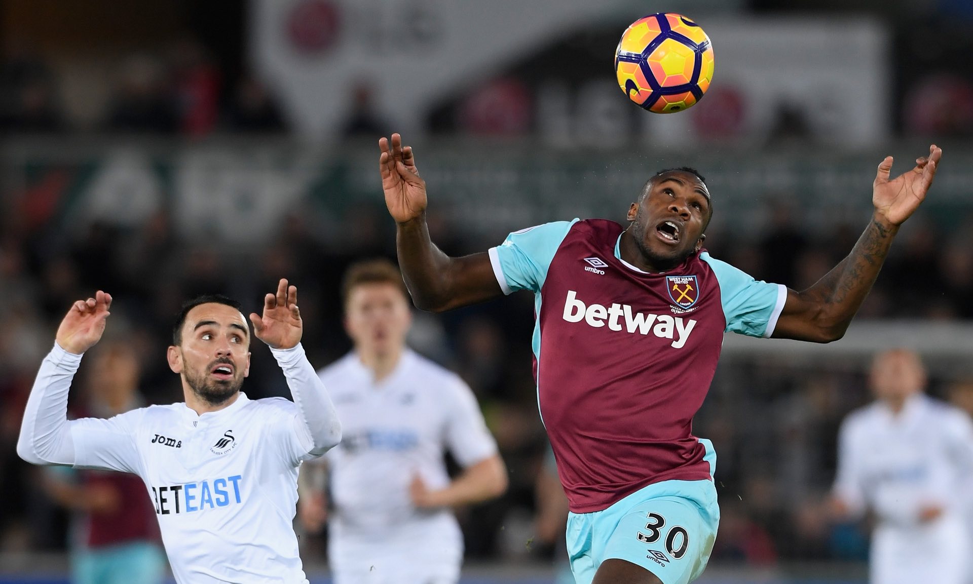 中国的雪上 中国的雪上